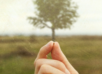 A hand holding a small seed in the foreground with a tree standing in an open field in the background.